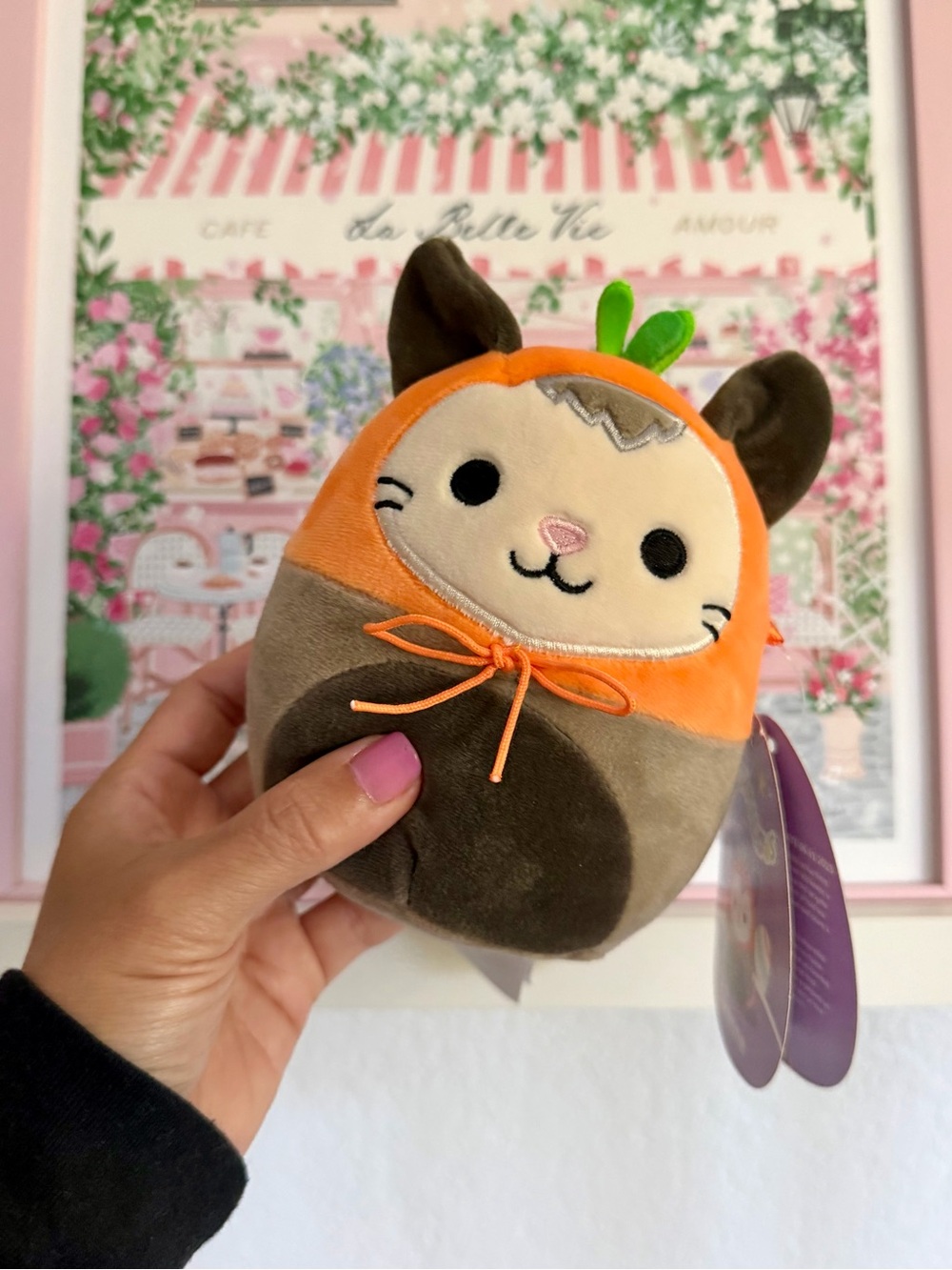 Squishmallows Orange, Brown & Cream Cat Plush - Luanne